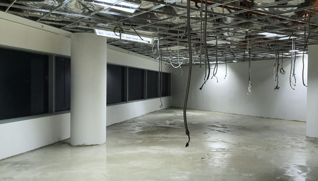 Corporate Office Reinstatement